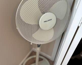 Fan