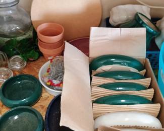 Lots of bonsai and succulent pots