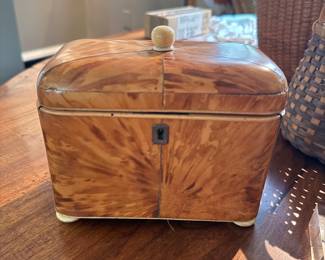 Shell tea caddy