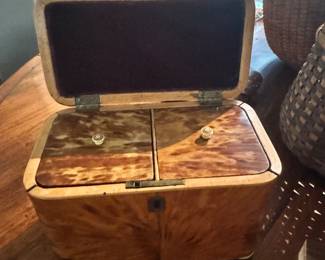 Shell tea caddy
