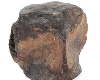 Lot 262 Massive Fossil Vertebrate, 8 Lbs