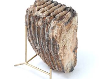 Lot 269 Large Mammoth Molar, Pleistocene Epoch