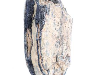 Lot 270 Ancient Woolly Mammoth Molar Section