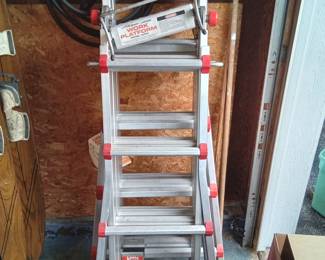2 Nice Aluminum Ladders