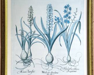 Vintage Botanical Print
Lot #: 132