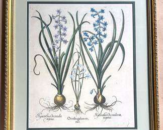 Botanical Print In Gilded Frame
Lot #: 130
