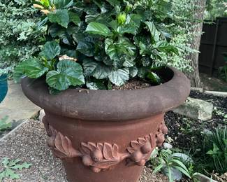 There are a total of four of these nice size planters with real plants