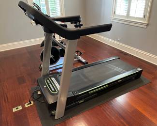 Horizon treadmill