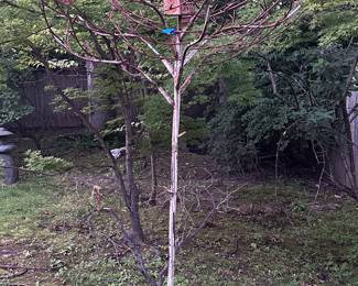 HEAVY cast iron artisan tree with bird house in them