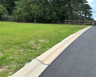 ANGLE PARKING ON GRASS HERE!!