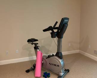 TRUE EXERCISE BIKE