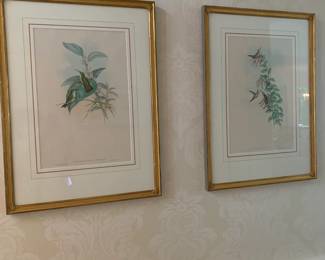 Botanicals