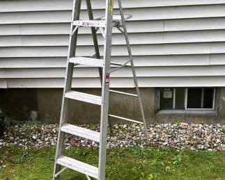 3’ 10” Metal Painting Ladder