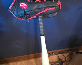 Bat and Rawlings glove