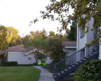 park by building 16- sale is in the back- look for bright green signs