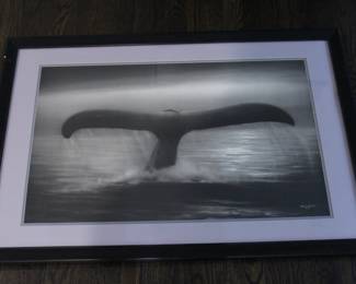 whale