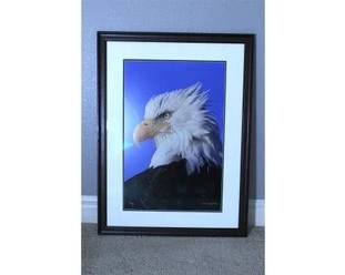 eagle
