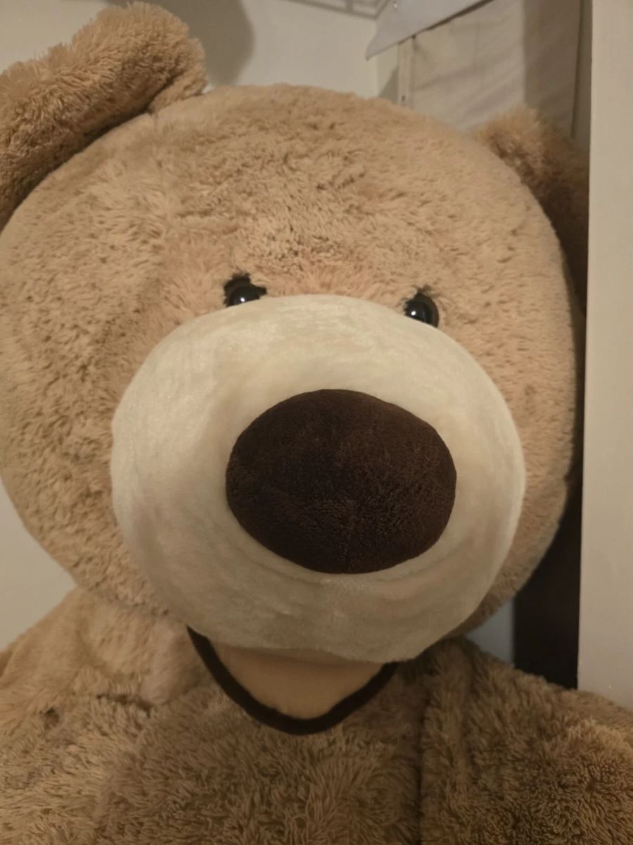 93" Plush Bear, Blonde - Purchased From Costco - Giant Teddy Bear