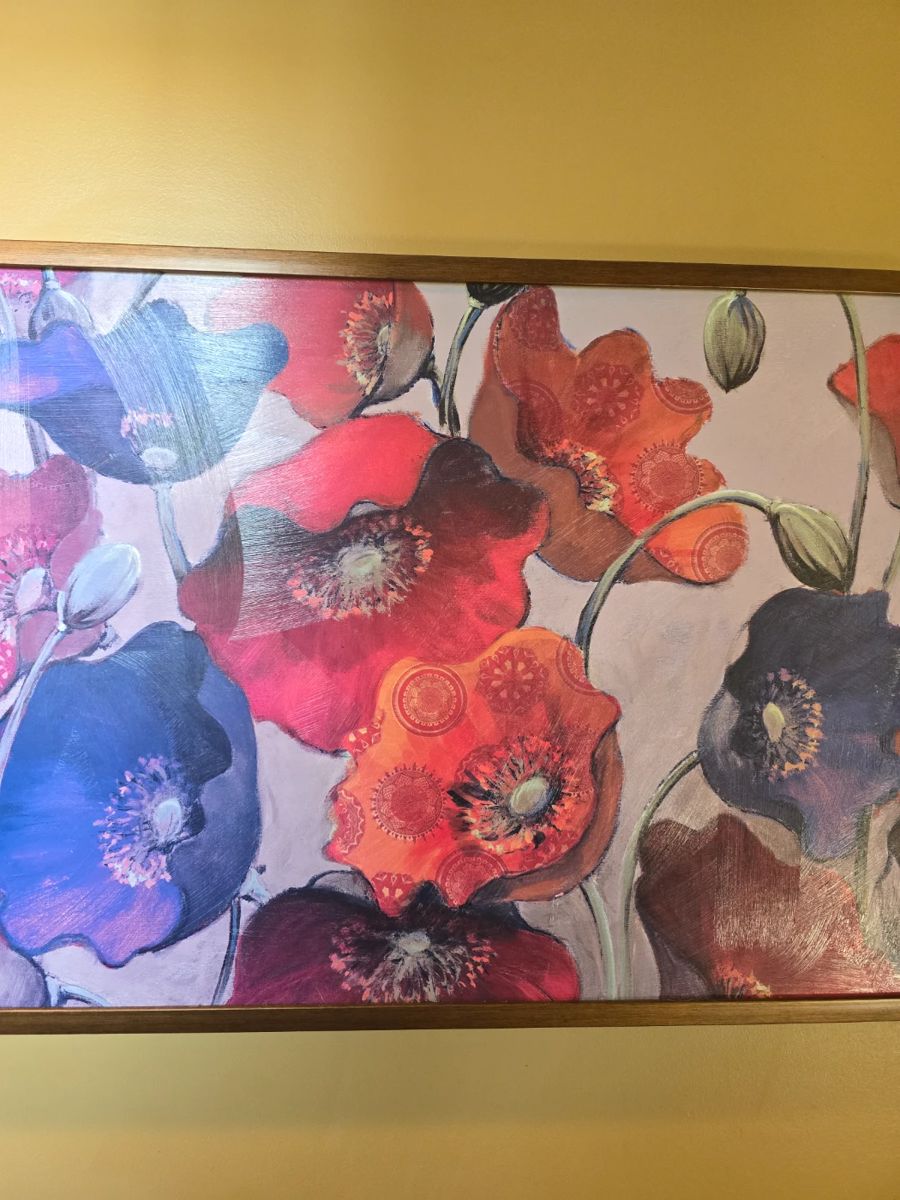 Macomb 70 OFF BLOWOUT SALE - E70f4b77 E538 41ae 97c0 04927f40a4c7 