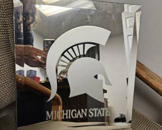 Michigan State Mirror