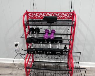 Weight stand and exercise cart