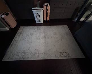 Area Rug