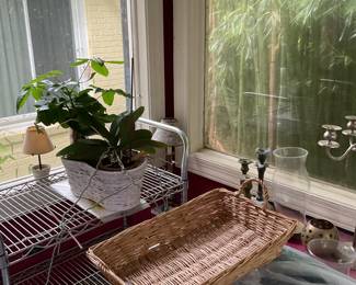 Steel stand and basket