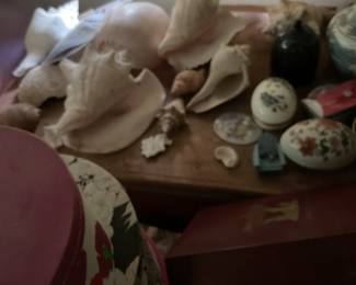 Shells and trinket boxes