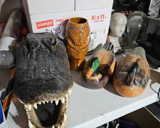 Alligator head