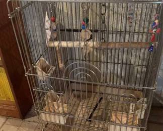Bird Cage
