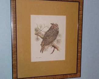 Owl Print