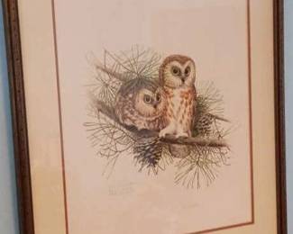 Owl Print