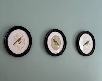 Framed bird picture
