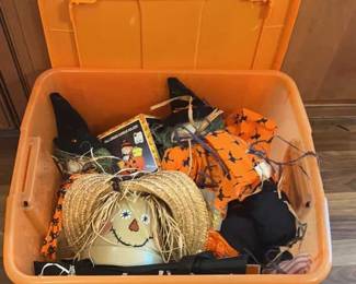 Tote of Halloween Decor