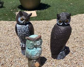 Owls