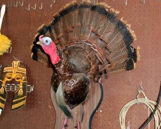 Turkey Mount