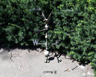 0987Back Yard