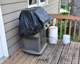 0983Back Yard