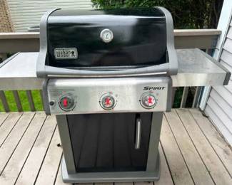 WEBER Gas Grill