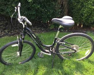 13.5 TREK Ladies Bicycle