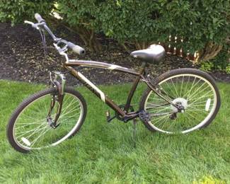 DBX Crestwood Cruiser Bicycle