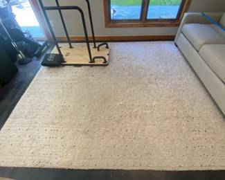 H83 - $150. Pottery Barn Etta Easy Care Shag Rug. 8' x 10'. This rug has the most wear of them all.