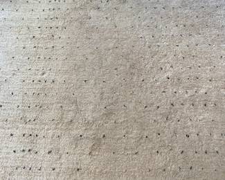 H83 - $150. Pottery Barn Etta Easy Care Shag Rug. 8' x 10'. This rug has the most wear of them all.