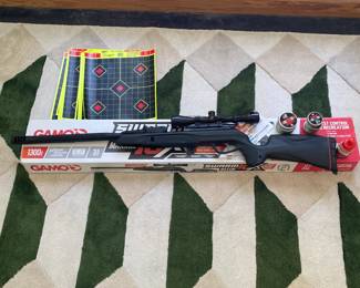 H73 - $150. Swarm Gen2 Maxxim 10x Pellet/ BB Gun.