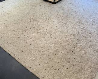 H83 - $150. Pottery Barn Etta Easy Care Shag Rug. 8' x 10'. This rug has the most wear of them all.