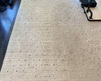 H83 - $150. Pottery Barn Etta Easy Care Shag Rug. 8' x 10'. This rug has the most wear of them all.