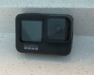 H92 - $250 ALL. GoPro 9 Black with accessories. "The Remote", 1 soft handle, 1 long retractable handle, Dual Charger & Enduro Batteries, Clip Mount, Light Mod, Suction Cup, Jaws Flex Clamp, & Media Mod. Total of 4 batteries included.