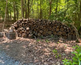 H15 - Lots of firewood for sale! $75 for 6' truck load.