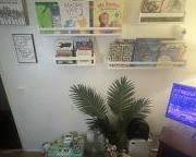 Books, Book shelf, toys. Wall art.
