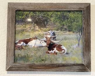 Longhorns Picture in Rustic Wooden Frame